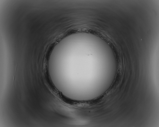 X0000085020468200703050941