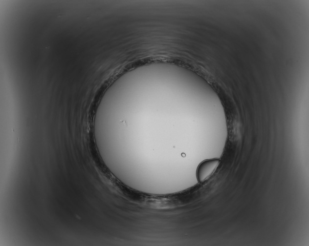 X0000085020472200703050941