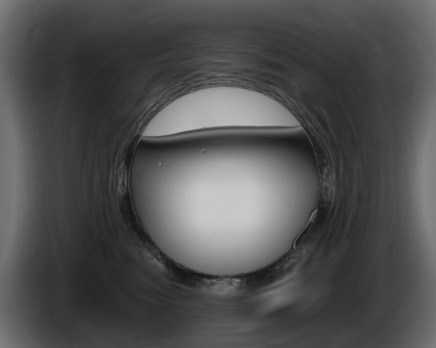 X0000085020474200703050941