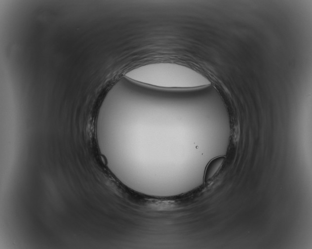 X0000085020476200703050941