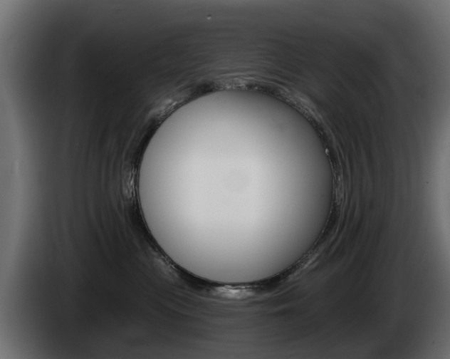 X0000085020477200703050941
