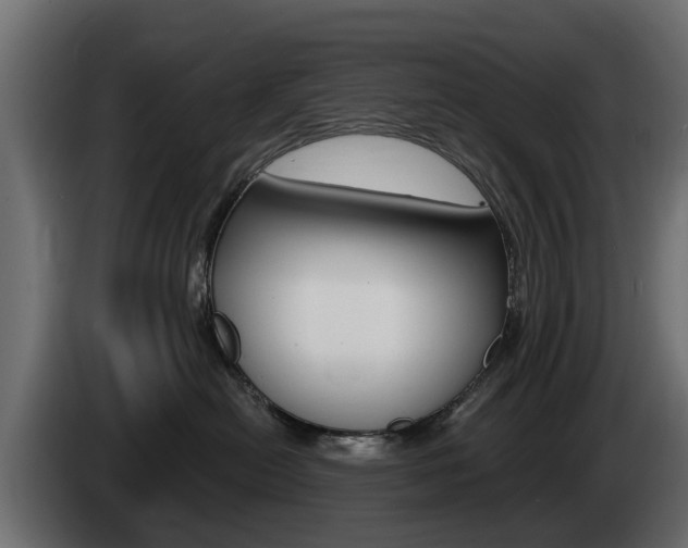 X0000085020478200703050941
