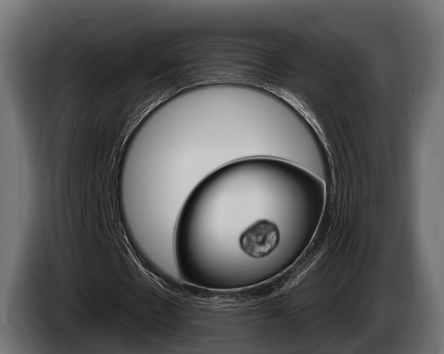 X0000085020481200703050941