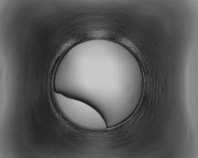 X0000085020482200703050941