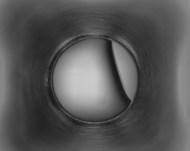 X0000085020483200703050941