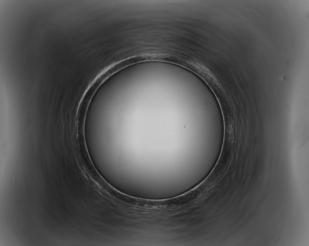 X0000085020484200703050941