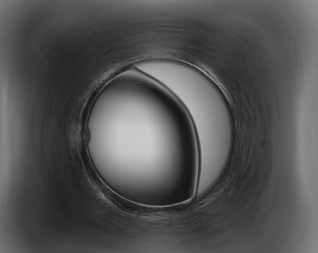 X0000085020485200703050941
