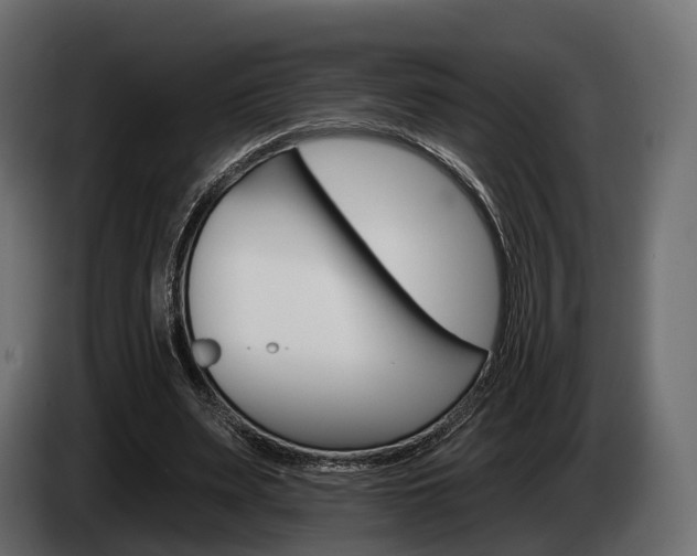 X0000085020487200703050941