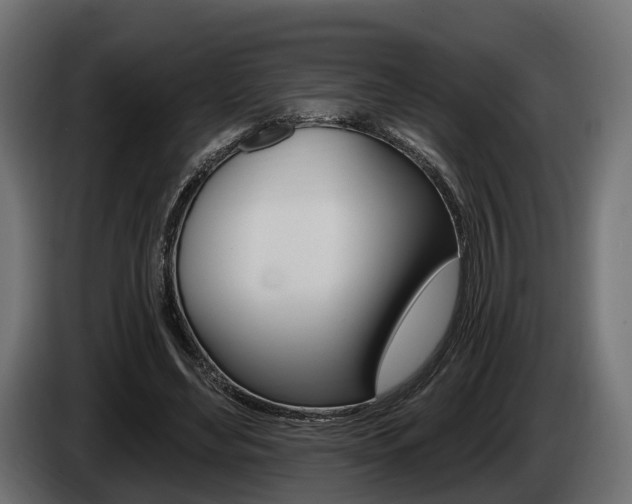 X0000085020492200703050940