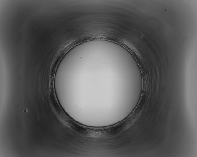 X0000085020494200703050940