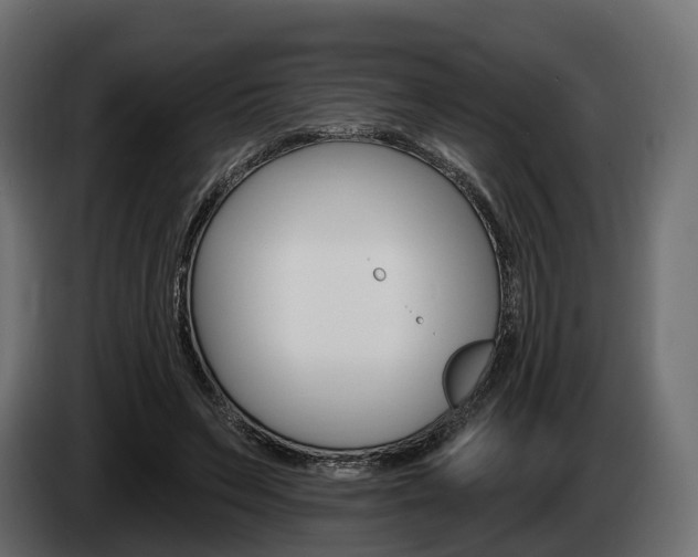 X0000085020495200703050940