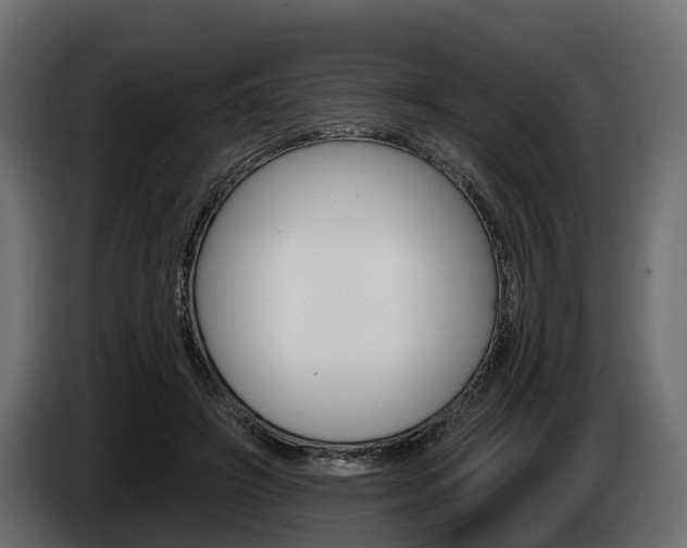 X0000085020498200703050940