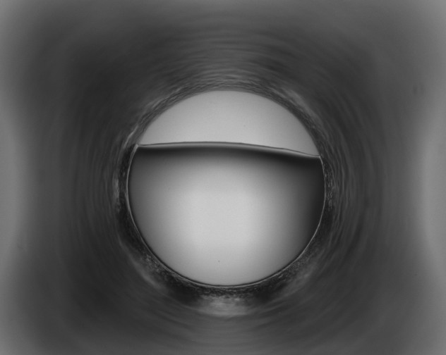 X0000085020500200703050940