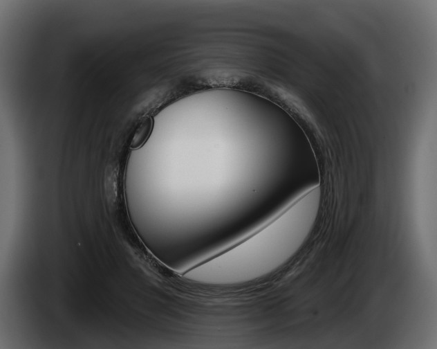 X0000085020501200703050940