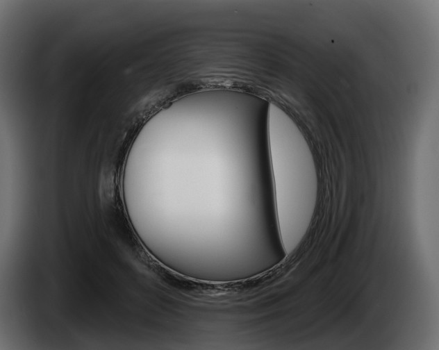 X0000085020504200703050940