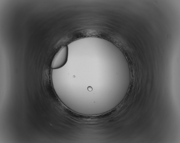 X0000085020506200703050940