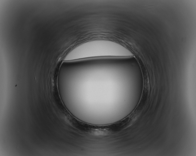 X0000085020508200703050940