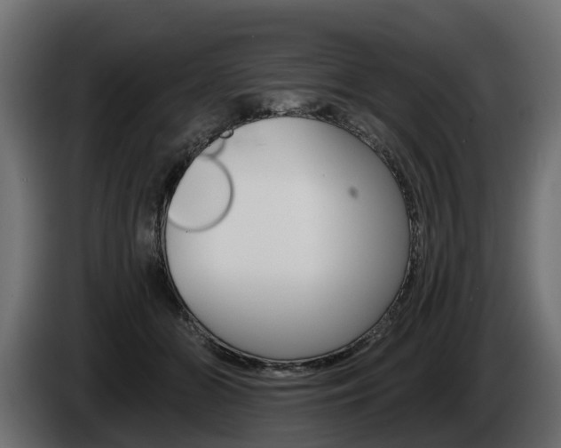 X0000085020510200703050940