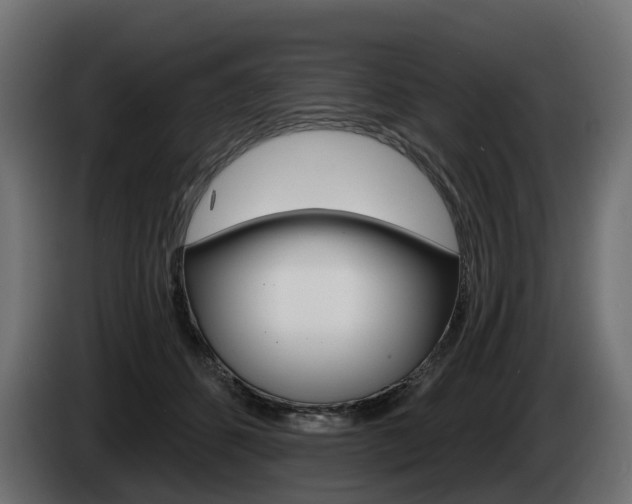 X0000085020512200703050940