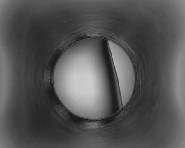 X0000085020513200703050940