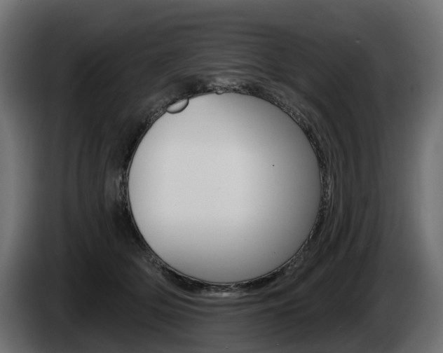 X0000085020514200703050940