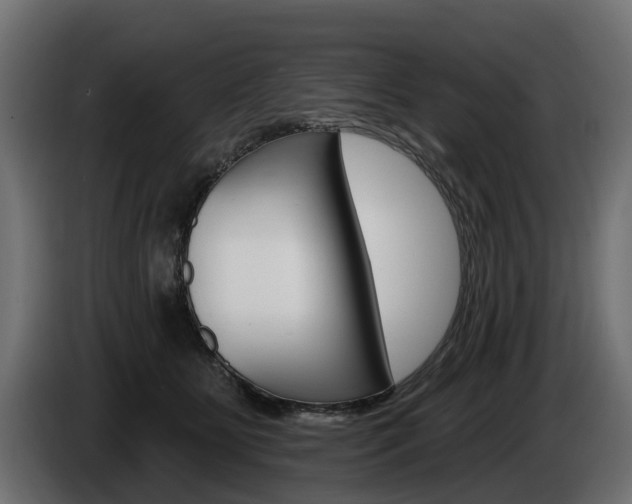 X0000085020515200703050940