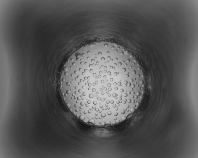 X0000085020519200703050940