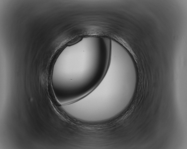 X0000085020530200703050939