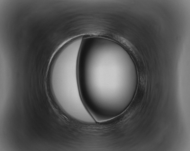 X0000085020532200703050939