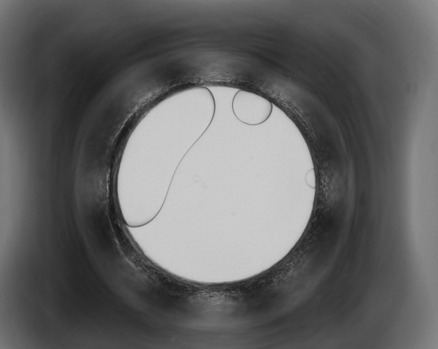 X0000085020534200703050939
