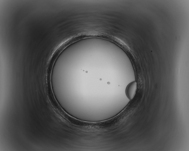 X0000085020535200703050939