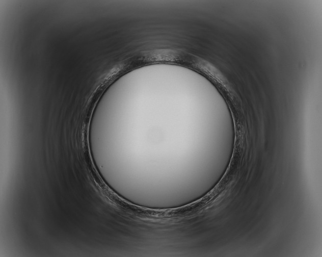 X0000085020537200703050939