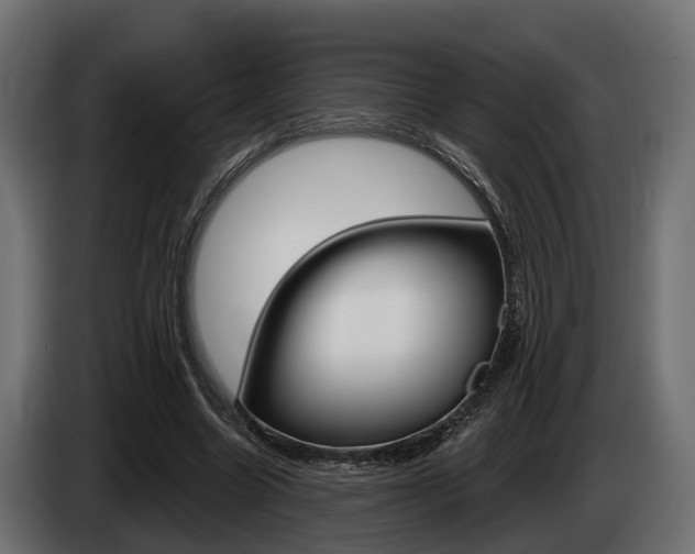 X0000085020538200703050939