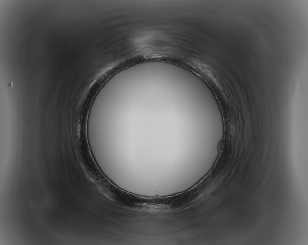 X0000085020539200703050939