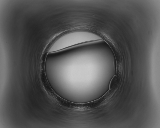 X0000085020540200703050939