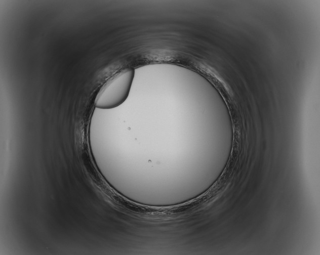 X0000085020541200703050939