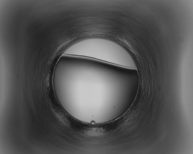 X0000085020543200703050939