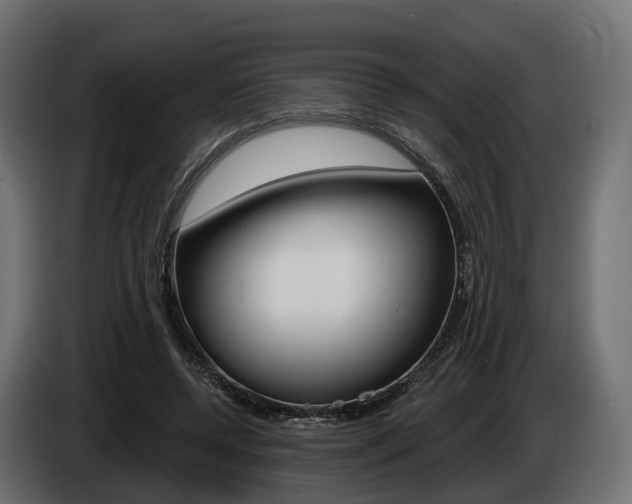 X0000085020544200703050939