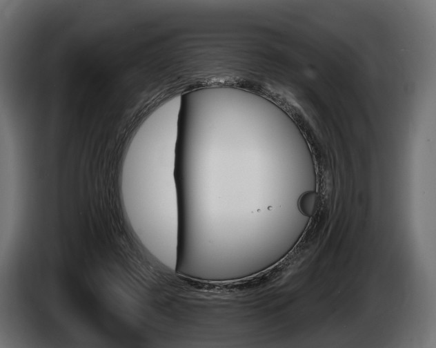 X0000085020545200703050939