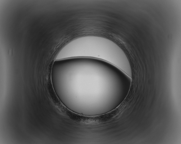X0000085020546200703050939