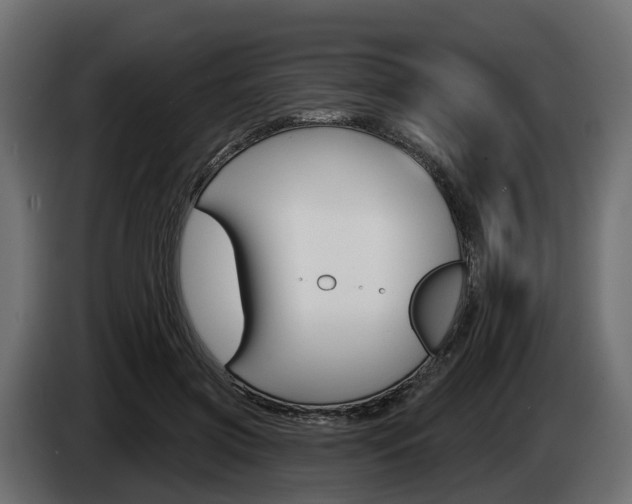 X0000085020549200703050939