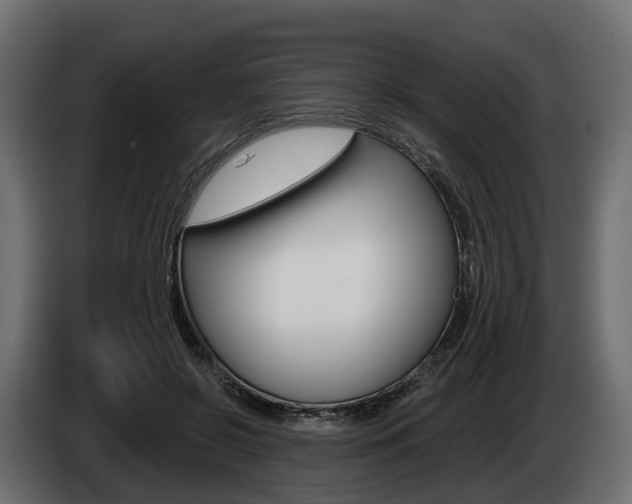 X0000085020550200703050940