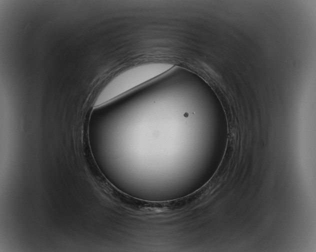 X0000085020552200703050940