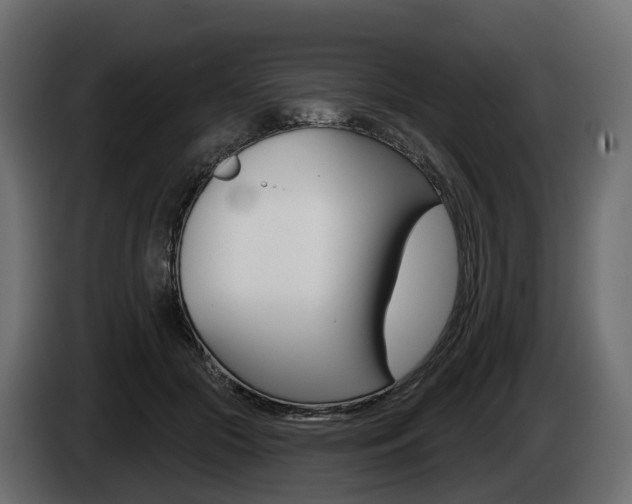 X0000085020553200703050940