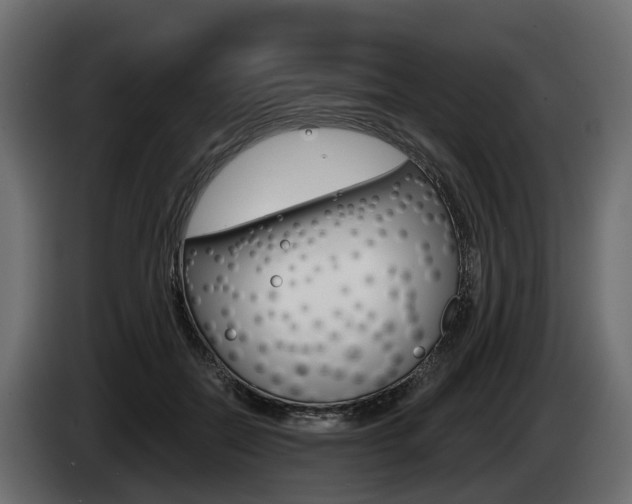 X0000085020554200703050940
