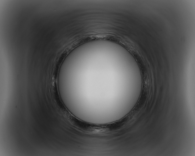 X0000085020555200703050940
