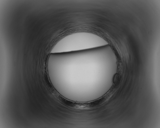 X0000085020557200703050940
