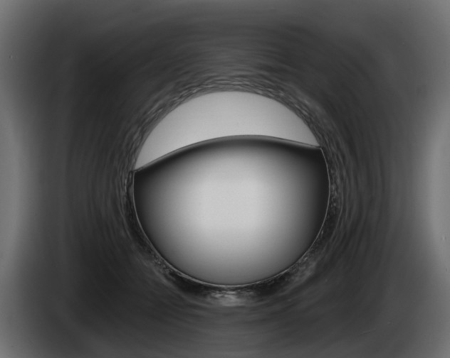 X0000085020558200703050940