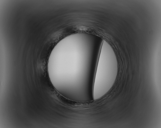 X0000085020559200703050940