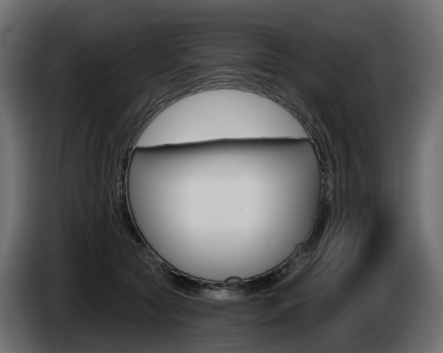X0000085020561200703050940
